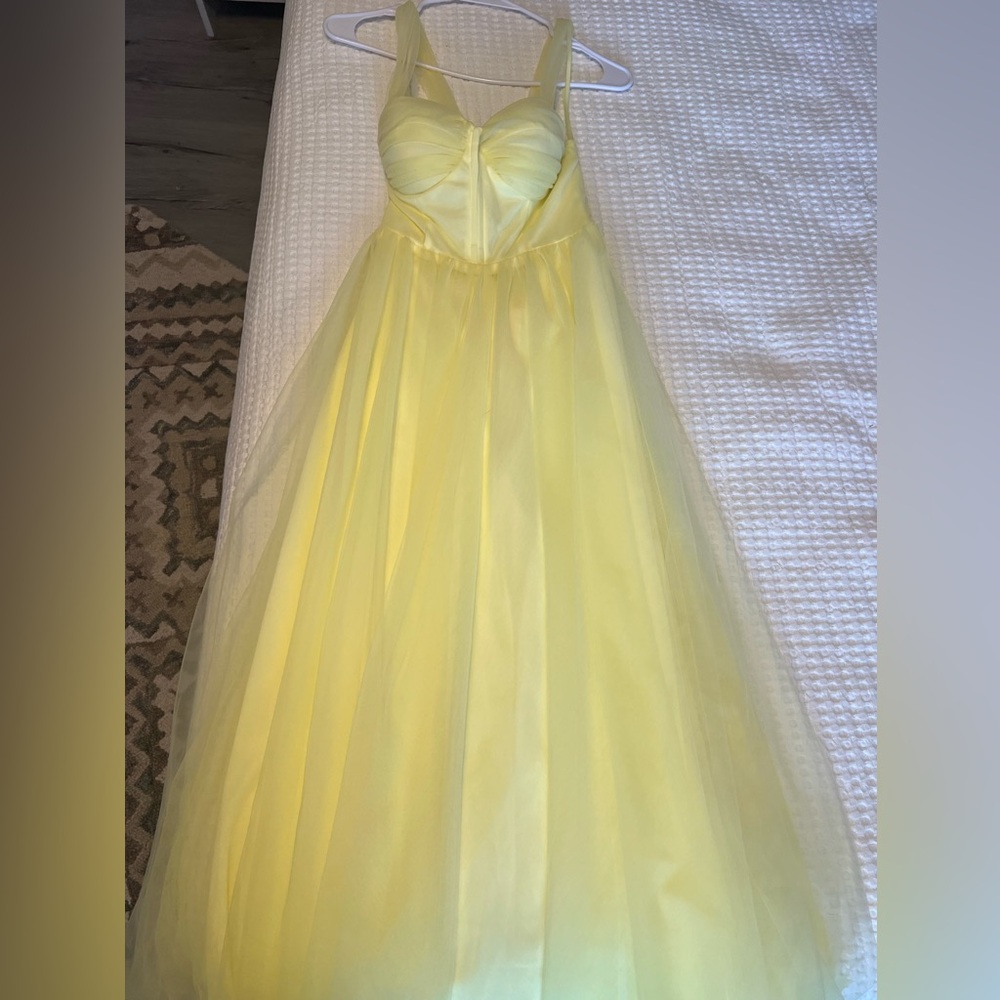 Selfie Leslie Tulle Corset Dress